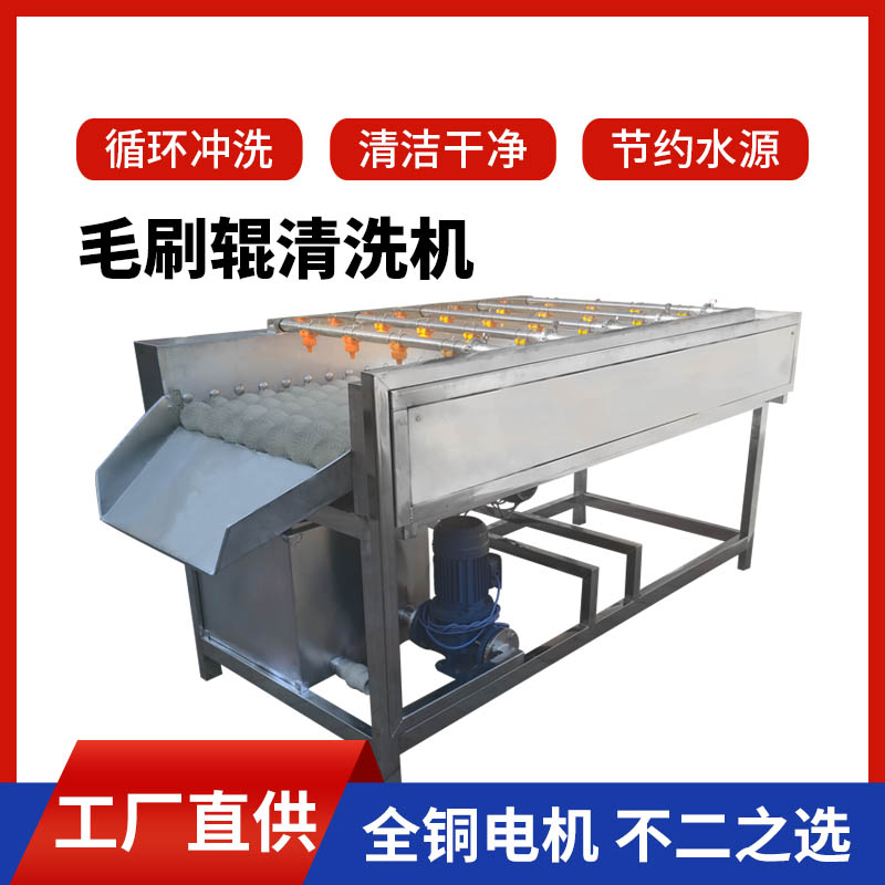 全自动鼓泡橘子洗果机 工业气泡果汁加工厂柑橘清洗机 桔子清洗机.jpg