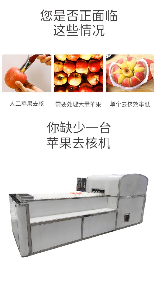 全自动杨梅去核机.jpg