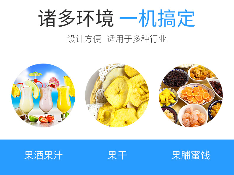 小型油柑去核机不锈钢油柑去核机油柑自动去核设备.jpg