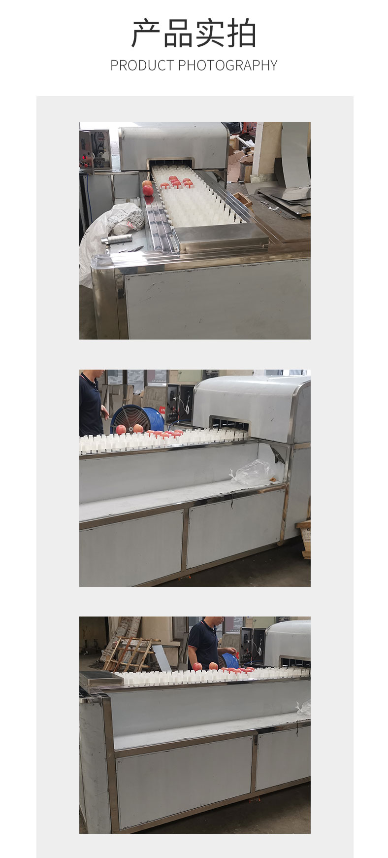 小型油柑去核机不锈钢油柑去核机油柑自动去核设备.jpg