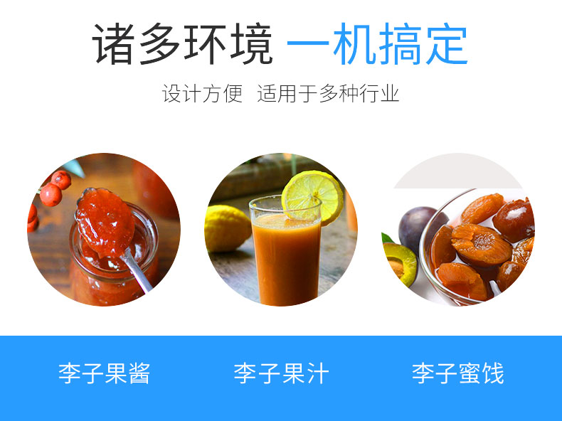 208型西梅去核机不锈钢材质.jpg